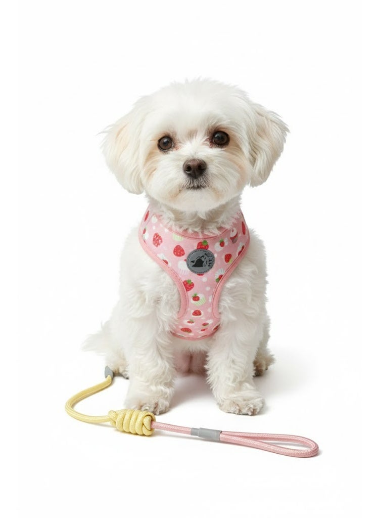 طقم سرج ومقود للكلاب بنقوش فواكه، قابل للتعديل للكلاب الكبيرة بوزن 8-12 كجم، يتضمن مقاود متناسقة - Image 2